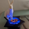 Bitcoin rabbit hole box - Image 4