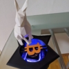 Bitcoin rabbit hole box - Image 2